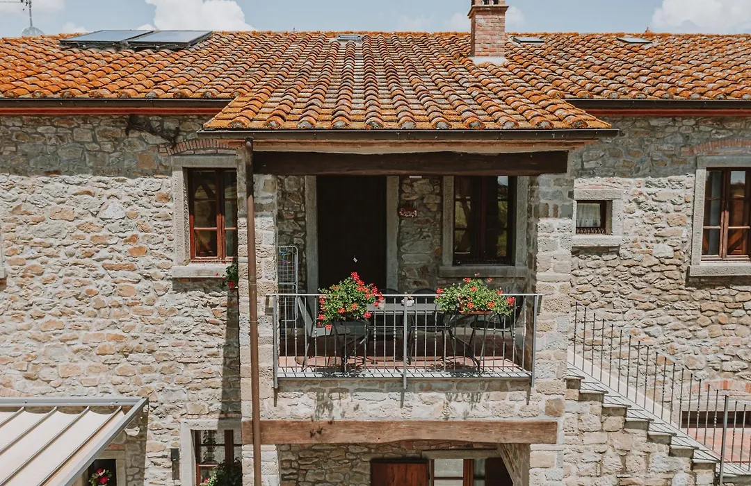 Terra Di Cortona-1