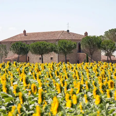 Terra Di Cortona-3