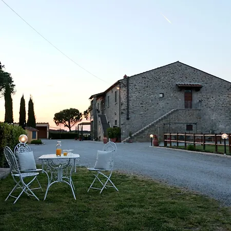 Terra Di Cortona-2
